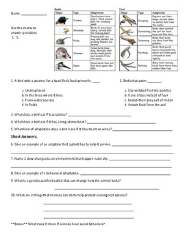 Animal Adaptations: Review and Quiz by Mrs Coverts Class | TPT