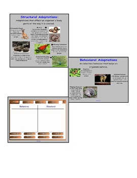 Preview of Animal Adaptations SMART lesson