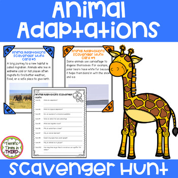 Preview of Animal Adaptations Scavenger Hunt