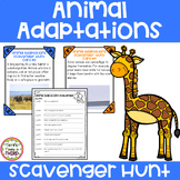 Animal Adaptations Scavenger Hunt