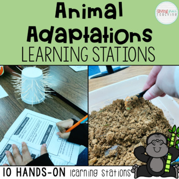 Preview of Animal Adaptations Science Centers Hands-On Learning EDITABLE