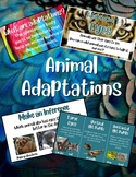 Animal Adaptation Slides  | Science Lesson