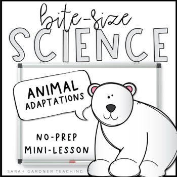 Preview of Animal Adaptations | Science Mini-Lesson | PowerPoint & Google Slides