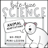 Animal Adaptations | Science Mini-Lesson | PowerPoint & Go