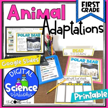Preview of Animal Adaptations Science Stations - 8 Print & Digital Station Activities