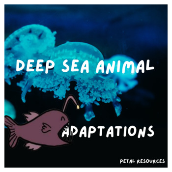 Ocean Adventure Series : Deep Sea Animal Adaptation by Classes with Cati