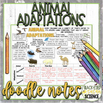 Preview of Animal Adaptations Doodle Notes & Quiz + Power Point