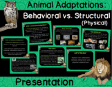 Animal Adaptations : Structural Vs. Behavioral Presentatio