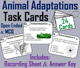Animal Adaptations Task Cards Activity: Hibernation, Camou