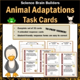Animal Adaptations Task Cards Set of 32 Science Brain Buil