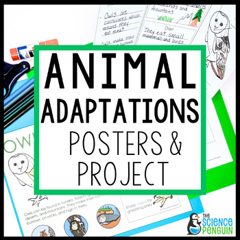 Preview of Animal Adaptations Projects | Posters Activities | Butterfly, Bee, Owl, Axolotl
