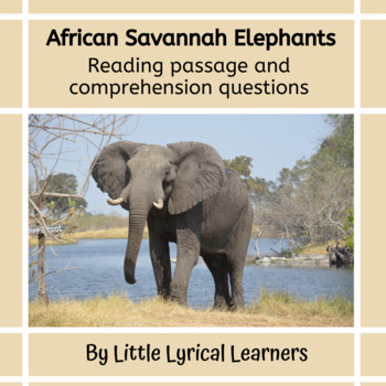 Animal Adaptations: The African Elephant Nonfiction Reading with  Comprehension