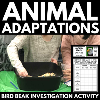 Preview of Animal Adaptations Unit - Bird Beak Lab - Bird Beak Adaptations - Hands On