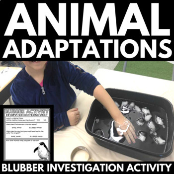 Preview of Animal Adaptations Unit - Blubber Investigation - Blubber Science Lab Hands On