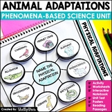 Animal Adaptations Unit | Phenomenon Based Science