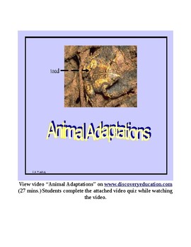 Preview of Animal Adaptations Video Quiz Activity