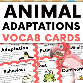 Animal Adaptations Vocabulary Cards Teaching Resources | TPT