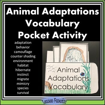 Animal Adaptations Vocabulary Pocket Activity with Definition and Word Cards