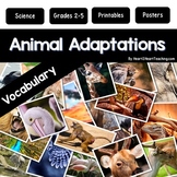 Animal Adaptations Vocabulary Posters Word Wall | Bulletin