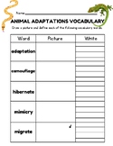 Animal Adaptations Vocabulary Worksheet