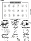 Animal Adaptations Activity: Word Search Worksheet