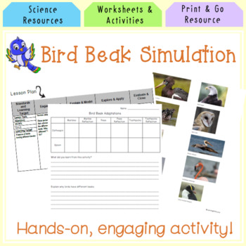 Animal Adaptations Worksheets and Activities by Learning with Lexie