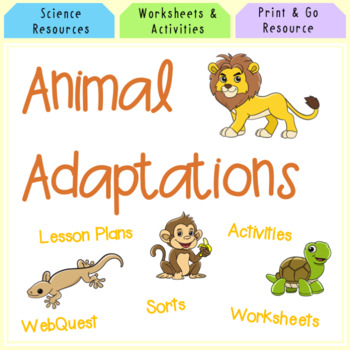 Preview of Animal Adaptations Worksheets