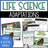 Animal Adaptations Worksheets and Digital Activities Bundle