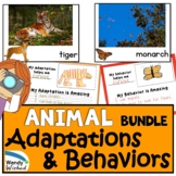 Animal Adaptations and Behaviors for Survival
