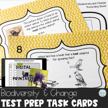 Preview of Animal Adaptations and Fossils – Science Test Prep Review Task Cards 5th Grade