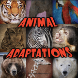 Animal Adaptations flip e-book