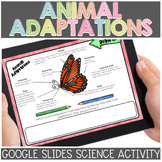 Animal Adaptations for Google Classroom