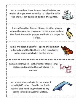 Animal Adaptations in Winter task cards, pass game: Hibernate? Migrate