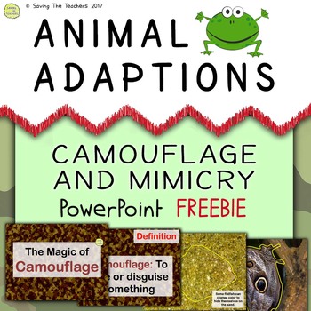 Preview of Animal Adaptions: Camouflage and Mimicry PowerPoint FREEBIE