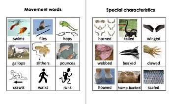 Animal Adjectives Dictionary by The Coach's Room | TpT