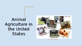 Animal Agriculture Overview - Introductory Slide Show