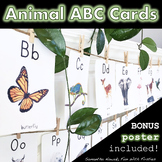 Animal Alphabet Cards (display banner, reference posters, 