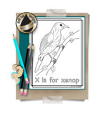 Animal Alphabet Coloring Pages: X is for Xenop