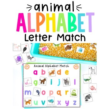 Sensory Bin Alphabet Matching Game, Letter Matching Uppercase and Lowercase