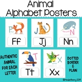 Animal Alphabet Posters