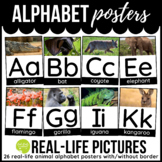 Animal Alphabet Posters Real Life Pictures