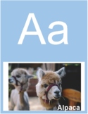Animal Alphabet Posters with Real Life Photos | Classroom Decor
