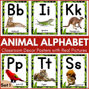Animal Alphabet Posters with Real Pictures for Classroom Decor Set 1 by ...