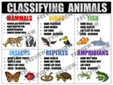 ANIMAL HABITATS Anchor Chart by ANCHOR CHART ALLEY | TPT