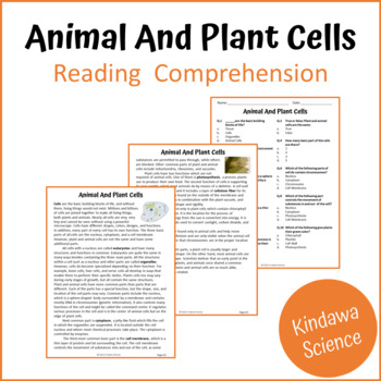 Preview of Animal And Plant Cells Reading Comprehension Passage and Questions - PDF
