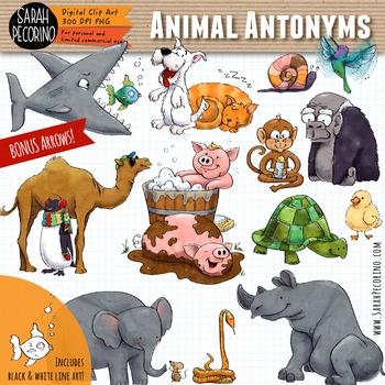 Animal Antonyms - Opposites - Adjectives Clip Art | TPT
