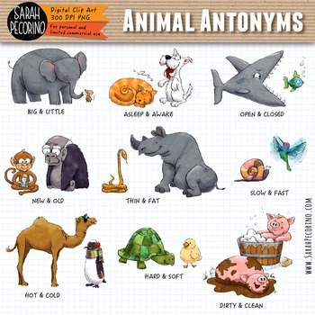 Animal Antonyms - Opposites - Adjectives Clip Art | TPT