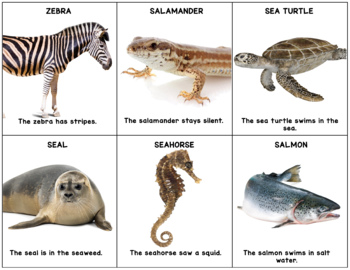 Animal Articulation Flash Cards: /s/ and /z/ by The Speechstress