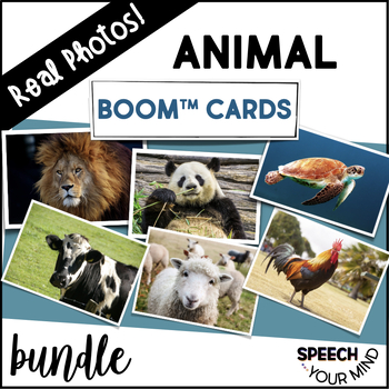 Preview of Animals Boom™ Cards Bundle Real Photos | Animals Bundle