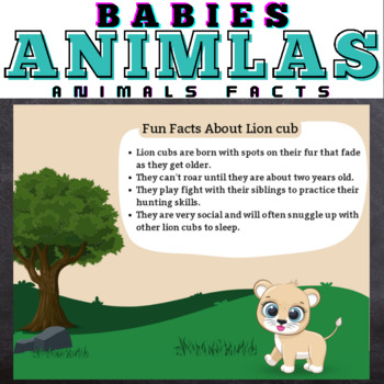 Preview of Animal Babies : FACTS - Google Slides™ Included